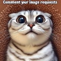 Hilarious Big-Eyed Cat Meme - Comment Your Image Requests!