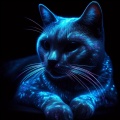 Luminous Feline: a Cat with Radiant Fur in the Darkness
