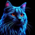 Luminescent Feline: A Cat under Black Light