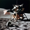 Apollo 11 Cat: Vintage Moon Landing with a Feline Twist