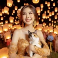 Enchanting Scene: Thai Girl in Gold Evening Dress with Calico Cat Surrounded by Sky Lanterns