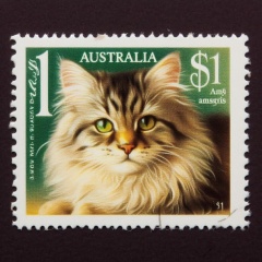 Australia $1 Stamp Featuring Realistic Portrait of a Longhair Tabby Cat